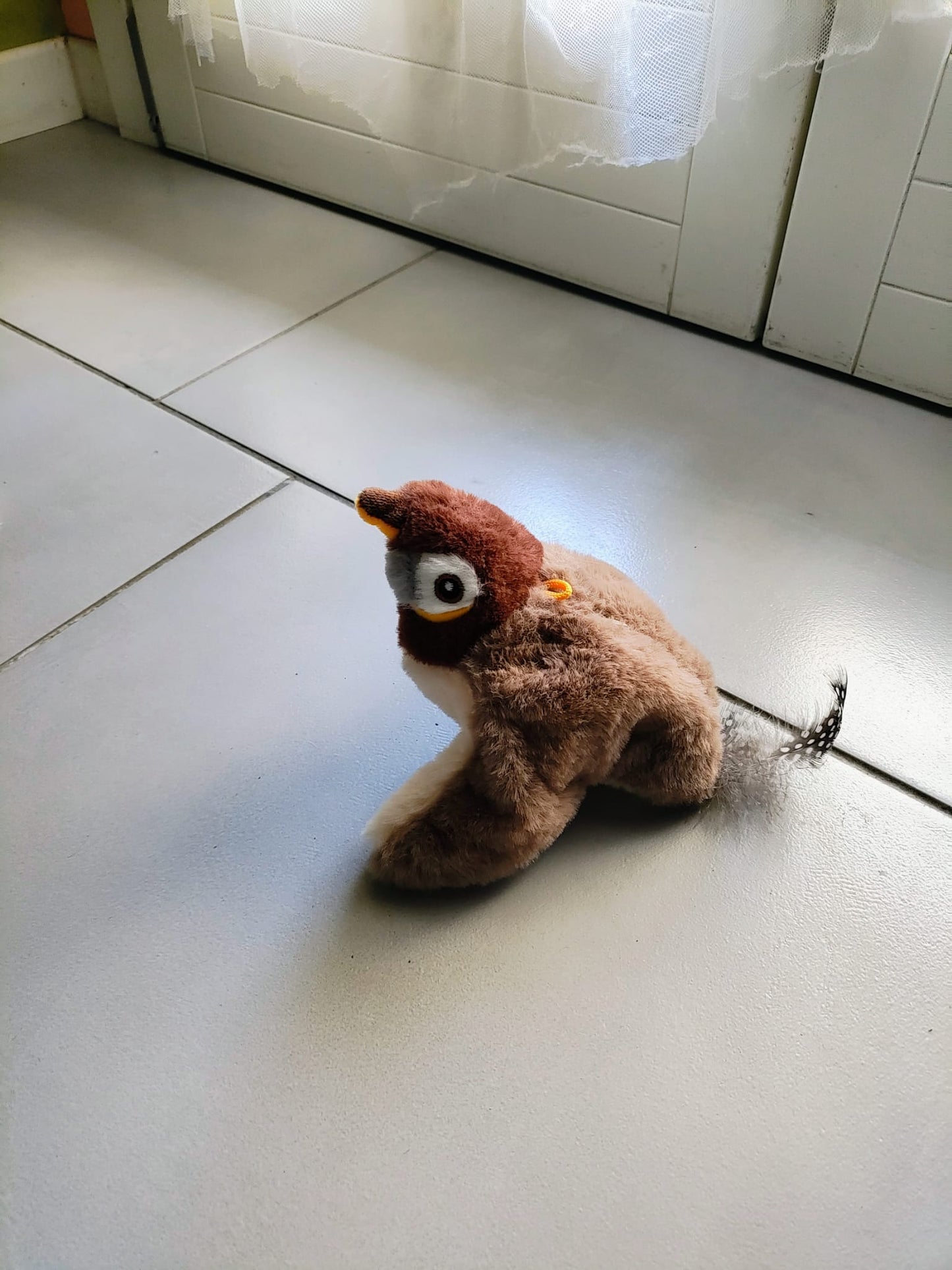 uccellino gioco interattivo gatti