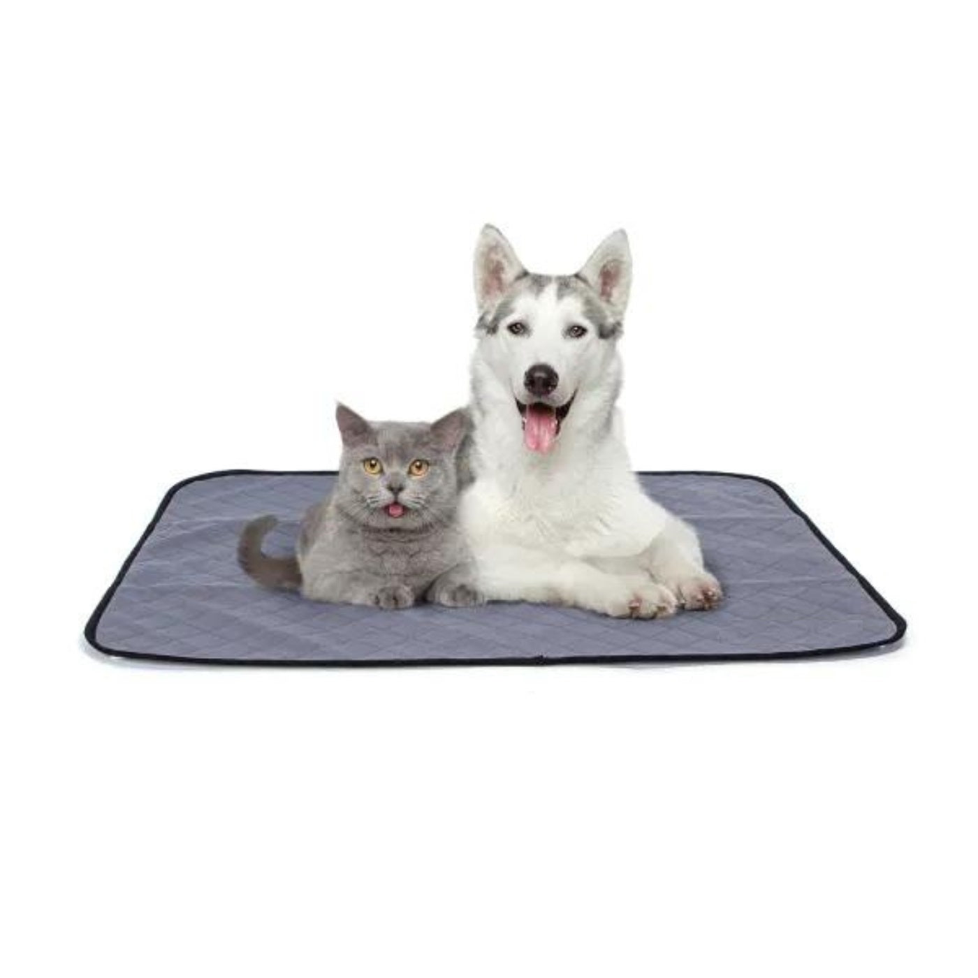 Tappetino lavabile per animali domestici.