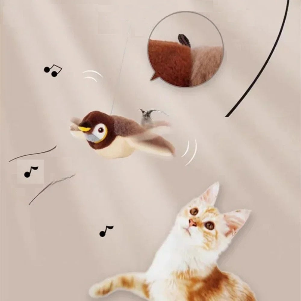 uccellino gioco interattivo gatti