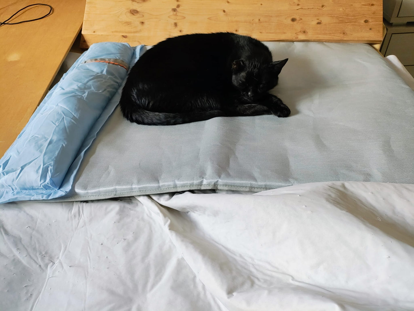 Tappetino refrigerante per cani e gatti